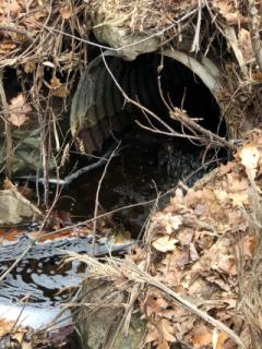 Mill Pond Road Culvert