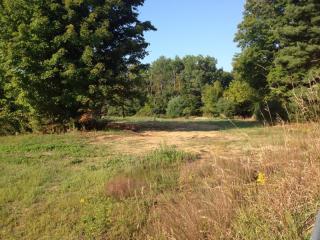 picture marston property