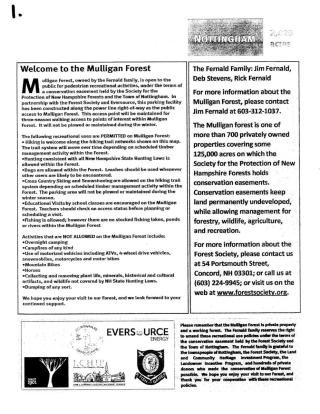 Mulligan