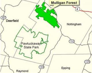 mulligan map