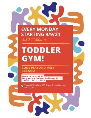 Toddler Gym 
