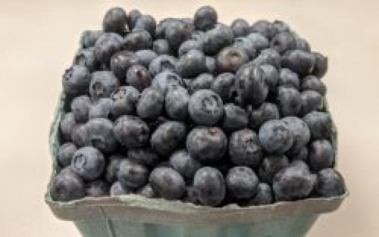 blueberries