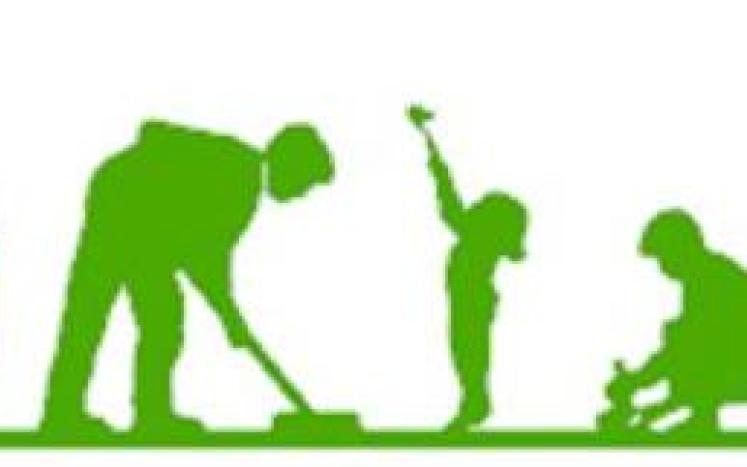 cleanup