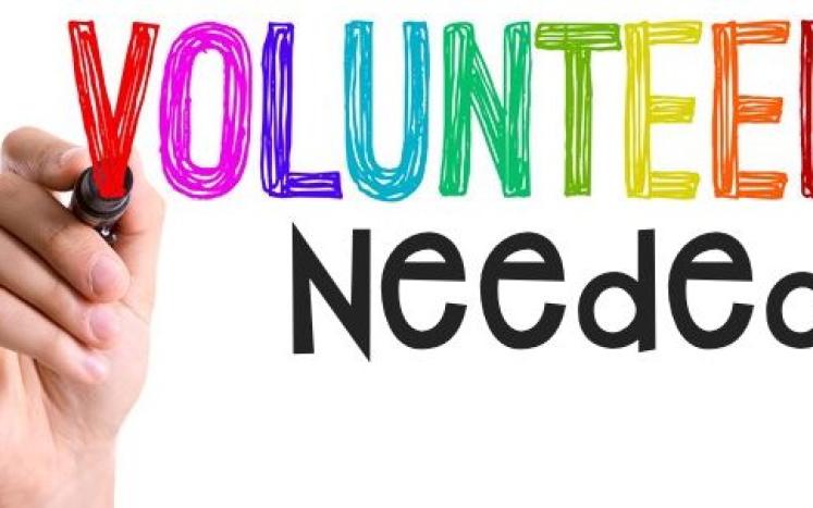 volunteers